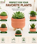 ecofynd 3.5 Inch Ceramic Plant Pots with Drainage Hole