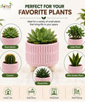 ecofynd 3.5 Inch Ceramic Plant Pots with Drainage Hole