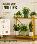 Ecofynd Adam Metal Plant Stand | 2-Tier Shelf for Indoor & Outdoor Use | Ecofynd