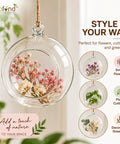 ecofynd Hanging Glass Planter – Cut Sphere Design | Clear Transparent Glass, Medium