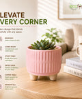 ecofynd 3.5 Inch Ceramic Plant Pots with Drainage Hole