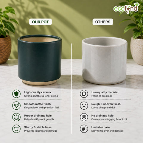 ecofynd Ecofynd 6 Inch Dark Green Ceramic Cachepot Planter with Drainage