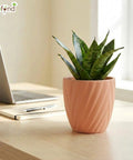 ecofynd Ecofynd Peach Twisted 4 Inch Ceramic Cachepot Planter for Indoor Plants
