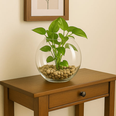 ecofynd Glass Vase for Flowers & Décor – Clear Globe Shape | Transparent