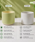 ecofynd Ecofynd 6 Inch Light Green Ceramic Cachepot Planter with Drainage