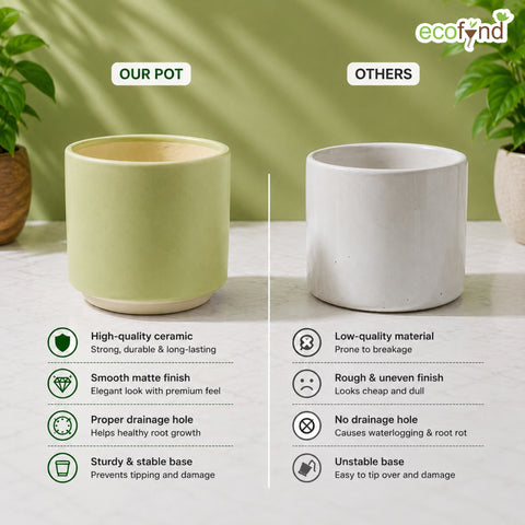 ecofynd Ecofynd 6 Inch Light Green Ceramic Cachepot Planter with Drainage