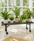 ecofynd Scot 35 Inch Plant Stand with Wheels for Balcony (Black)