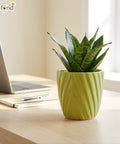 ecofynd Ecofynd Light Green Twisted 4 Inch Ceramic Cachepot Planter for Indoor Plants