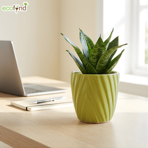 ecofynd Ecofynd Light Green Twisted 4 Inch Ceramic Cachepot Planter for Indoor Plants