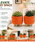 ecofynd 3.5 Inch Ceramic Plant Pots with Drainage Hole