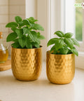ecofynd Ivara Metal Plant Pots