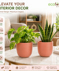 ecofynd 5 Inch Ceramic Plant Pots with Drainage Hole