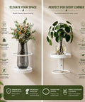 ecofynd 2 Pack Wall Mounted Metal Hanging Plant Stand