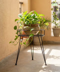 ecofynd Ecofynd Heavy Duty Matka Stand for Kitchen - Style 1