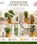 ecofynd Set of 2 Cylindrical Metal Planter – 6/7 Inch, Symmetrical Design