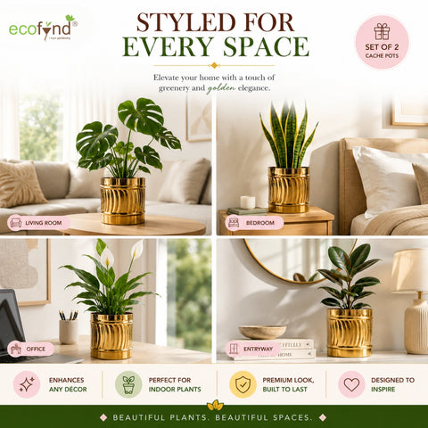ecofynd Set of 2 Cylindrical Metal Planter – 6/7 Inch, Symmetrical Design