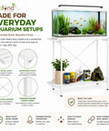 ecofynd Aqua Lift 2-Tier Metal Plant Stand – Strong & Multi-Purpose Design