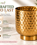 ecofynd Premium Golden Metal Planter – 5 Inch, Goblet Design