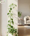 ecofynd Light Green Metal Plant Trellis – 18 Inch Rust-Resistant Stake