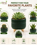 ecofynd 3.5 Inch Ceramic Plant Pots with Drainage Hole