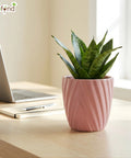 ecofynd Ecofynd Pink Twisted 4 Inch Ceramic Cachepot Planter for Indoor Plants