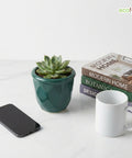 ecofynd Ecofynd Dark Green 4.3 Inch Cachepot Planter with Drainage Hole for Desk