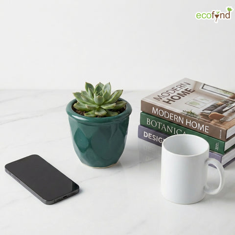 ecofynd Ecofynd Dark Green 4.3 Inch Cachepot Planter with Drainage Hole for Desk