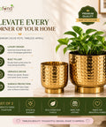 ecofynd Premium Golden Metal Planter – Set of 2, Goblet Design