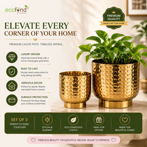 ecofynd Premium Golden Metal Planter – Set of 2, Goblet Design