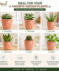ecofynd 4 Inch Ceramic Plant Pots with Drainage Hole