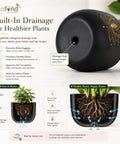 ecofynd 4.5 Inch Lotus Terracotta Pot for Indoor Plants