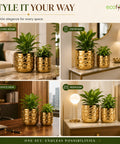 ecofynd Premium Golden Metal Planter – 7 and 5 Inch, Symmetrical Oval Design