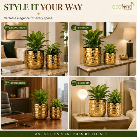 ecofynd Premium Golden Metal Planter – 7 and 5 Inch, Symmetrical Oval Design