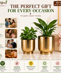 ecofynd Set of 2 Halo Ribbed Metal Planter in Symmetrical Design