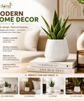ecofynd 3.5 Inch White Ceramic Plant Pots with Drainage Hole