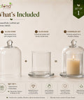 ecofynd 3.3 Inches Decorative Glass Bell Jar with Lid