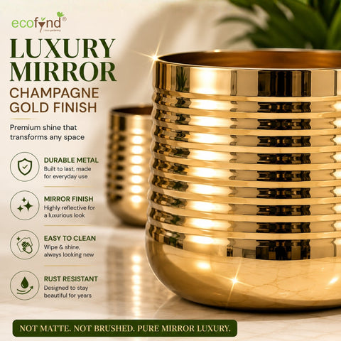 ecofynd Premium Golden Metal Planter – 5 Inch, Spiral Design