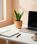ecofynd Ecofynd Blush Peach 5 inch Ceramic Cachepot Planter for Indoor Plants