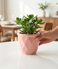 ecofynd Ecofynd Pink 4.3 Inch Cachepot Planter with Drainage Hole for Desk