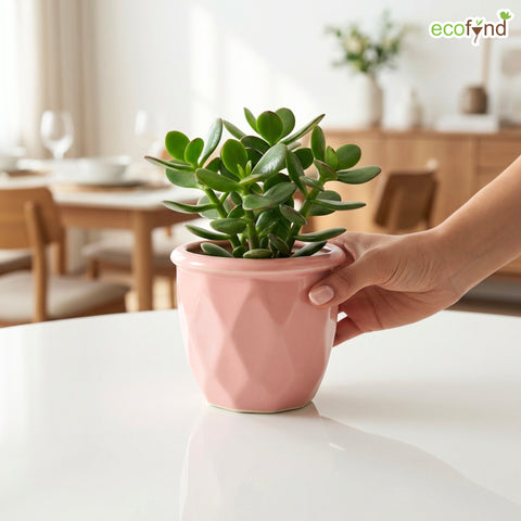 ecofynd Ecofynd Pink 4.3 Inch Cachepot Planter with Drainage Hole for Desk