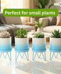 ecofynd Ecofynd Lucas Tabletop Metal Planter with Sky Blue Stand