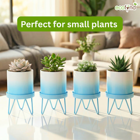ecofynd Ecofynd Lucas Tabletop Metal Planter with Sky Blue Stand