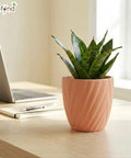 ecofynd Ecofynd Peach Twisted 4 Inch Ceramic Cachepot Planter for Indoor Plants