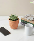 ecofynd Ecofynd Peach 4.3 Inch Cachepot Planter with Drainage Hole for Desk