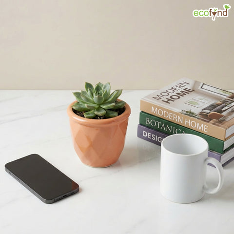 ecofynd Ecofynd Peach 4.3 Inch Cachepot Planter with Drainage Hole for Desk