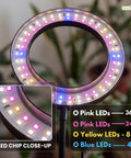 ecofynd Flory 2 Years Warranty Grow Light for Indoor Plants