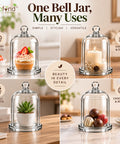 ecofynd 3.3 Inches Decorative Glass Bell Jar with Lid