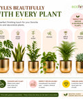 ecofynd Set of 2 Linea Patterned Golden Groove Planter – Gold Finish