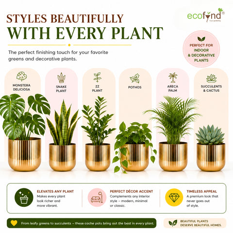 ecofynd Set of 2 Linea Patterned Golden Groove Planter – Gold Finish