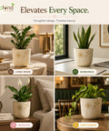 ecofynd 4.5 Inch Dandelion Floral Terracotta Pot for Indoor Plants